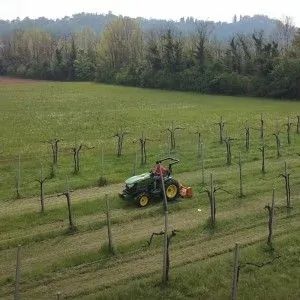 Débroussailleuse à marteaux montée sur tracteur Deleks LINCE-SP120