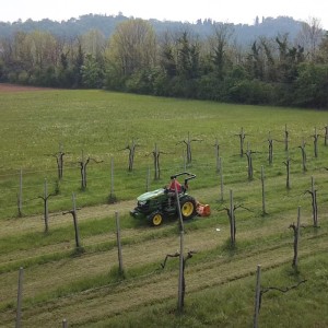 Schlegelmulcher für Traktor Deleks LINCE-SP120