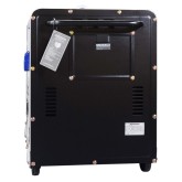 Générateur Électrique Diesel ITCPower DG7800SE 6300w