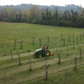 Schlegelmulcher für Traktor Deleks LINCE-SP140