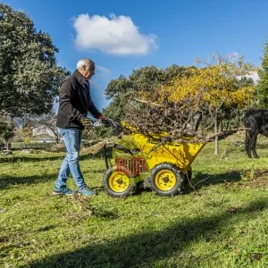 Mini-Dumper Garland BARROW 300G-V20 196cc