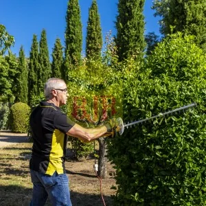 Electric hedge trimmer Garland working