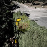 Tagliasiepi elettrico Garland Set 353 FE 600W funzionante