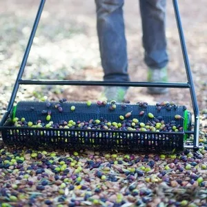 Olive harvester BJR N2