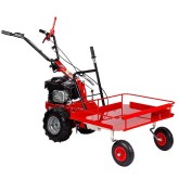 Transport wheelbarrow Eurosystems P55 EVO / MINIEFFE 160L