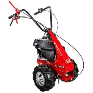 Máquina multifunción Eurosystems MINIEFFE 125-200 cc