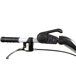 Faucheuse à moteur Bertolini 145 S-2