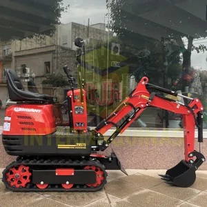 Mini excavator Roteco Bigant