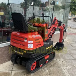 Mini excavator Roteco Bigant