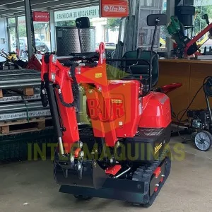 Mini excavator Roteco Bigant