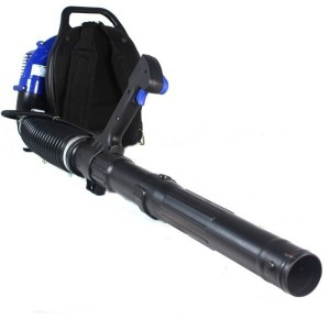 Acquistare il soffiatore Hyundai HYB33