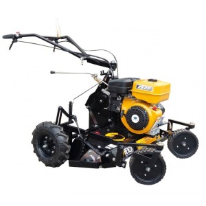 Enlève-plumes avicole Benza ER 73 AV2T E 265 cc