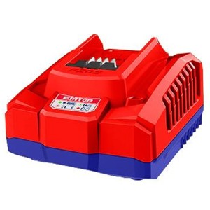 Caricabatterie rapido intelligente Emtop