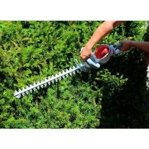 Electric hedge trimmers Anova CE2C rotary handlebar 650 W