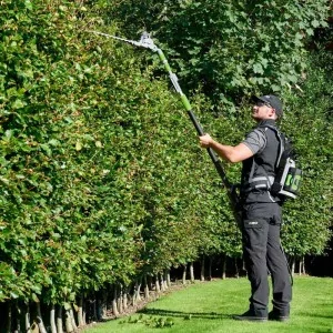 Battery powered telescopic head for Ego PPX1000 hedge trimmer and hedge trimmer