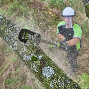 Cabeça telescópica alimentada por bateria para corta-sebes e tesoura de poda Ego PPX1000