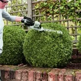 Mini battery-powered hedge trimmer Ego Power CHT2001E 20 cm