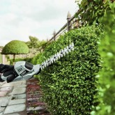 Mini battery-powered hedge trimmer Ego Power CHT2001E 20 cm