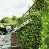 Mini battery-powered hedge trimmer Ego Power CHT2001E 20 cm