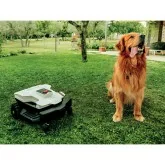 Robot tondeuse Ambrogio L25 Elite 5Ah