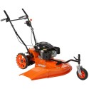 foto Rasenmäher mit Rädern Anova DC361 Motor Loncin 5PS