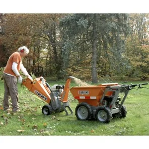 Forklift with Briggs and Stratton DELEKS MD-400-BS engine