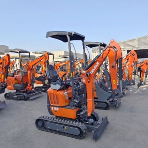 DELEKS S100 1.0T miniescavatore compatto