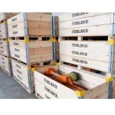 Trituradora trasera para tractor LINCE DELEKS 80-100 cm