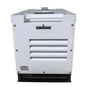 Generatore diesel HYUNDAI DHY10000SE 8500 W