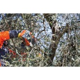 Chainsaw Oleo Mac GST 250 2-Stroke Engine