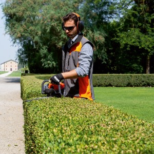 Gasoline Hedge Trimmer Oleo Mac HC 247 P 21.7cc