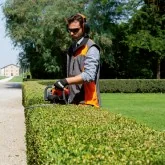 Gasoline Hedge Trimmer Oleo Mac HC 247 P 21.7cc