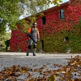 Backpack blower Oleo Mac BV163 61.3cc