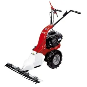 Motor mowers Roteco M-90 RATO 170cc