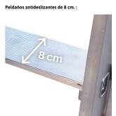 Échelle en aluminium Faraone EN1500