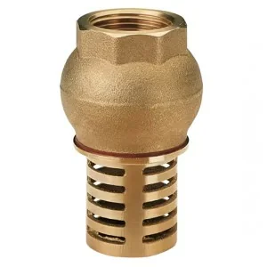 Non-return foot valve with 80 mm (3") nipple