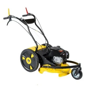 BJR Débroussailleuse à roues TP2006B moteur Briggs et Stratton