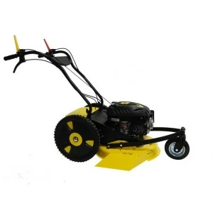 BJR Débroussailleuse à roues TP2006B moteur Briggs et Stratton