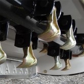 PTO Side Arm Shredder Giemme BCL 140 - 220 cm