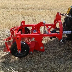 Arracheuse de pommes de terre PTO Giemme PD50A sortie arrière 50 cm