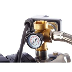 Anova BE1300P Surface Electric Pump