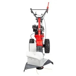 Desbrozadora de ruedas de hilo Eurosystems P70 EVO 60 cm