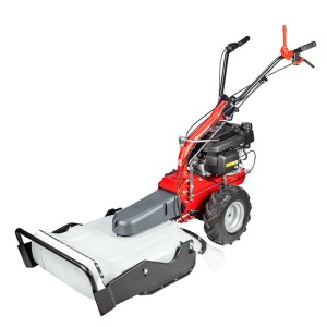 Multifunktionsmaschine Eurosystems P55 EVO