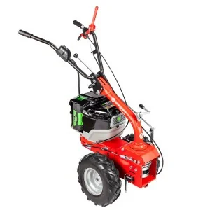 Eurosystems Máquina multifunções P55 EVO 163-200 cc