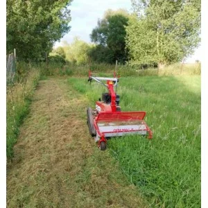 chenilles Débroussailleuse à marteaux de GeoTech Pro GFM 860 L-E