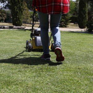 Gasoline Lawn Mower Garland SIOUX 655 MSG-V23