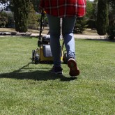 Gasoline Lawn Mower Garland SIOUX 655 MSG-V23