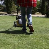 Gasoline Lawn Mower Garland SIOUX 655 MSG-V23