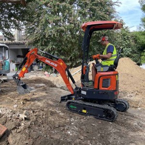 Mini escavatore Deleks M120 Motore Yanmar 19 CV