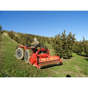 Heavy-duty shredder Omarv Gavi